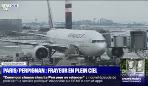 Panique à bord d’un vol Air France Paris-Perpignan après qu'un réacteur prenne feu