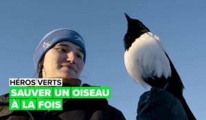 Héros verts : le sauvetage d'oiseaux