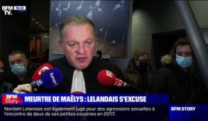 Pour l'avocat du père de Maëlys, la parole de Nordahl Lelandais est "la bienvenue" s'il souhaite s'expliquer sur les "zones d'ombre" du dossier