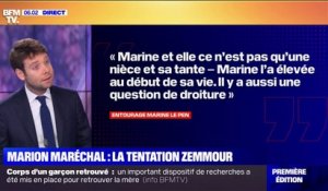 Quelles conséquences pour Marine Le Pen si Marion Maréchal rejoint Eric Zemmour ?