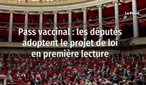 Pass vaccinal : les députés adoptent le projet de loi en première lecture