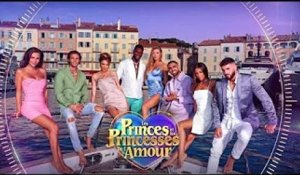 « Les princes et les princesses de l’amour » : W9 déprogramme son émission de téléréalité