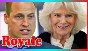 'Pas facile pour lui !' William 'soutient' la reine Camilla m@lgré 'd'énormes querelles familiales'