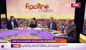 Les histoires de Charles Magnien : Une boulangerie pour chien en Écosse - 10/02