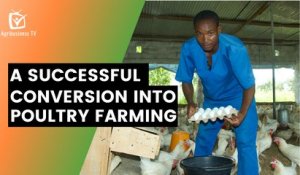 Burkina Faso: A successful conversion into poultry farming
