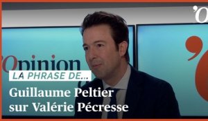 Guillaume Peltier: «Pécresse tente de parler comme Zemmour mais veut agir comme Macron»