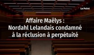Affaire Maëlys : Nordahl Lelandais condamné à la réclusion à perpétuité