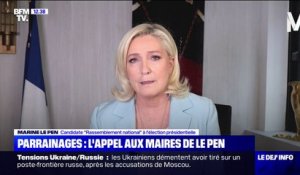 "J'ai besoin de vous": Marine le Pen lance un appel aux maires pour obtenir ses parrainages manquants
