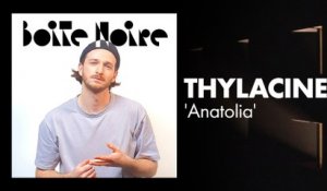 Thylacine (Anatolia) | Boite Noire