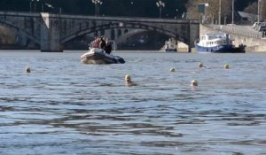 Huy: les participants plongent dans la 53ème édition de la "traversée hivernale de la Meuse"