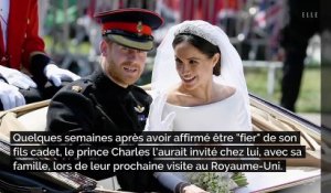 Prince Charles : ce geste qui pourrait lui permettre de passer du temps avec Archie et Lilibet