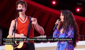 Camila Cabello et Shawn Mendes : le couple se sépare