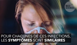 Virus Zika : comprendre la situation en trois points