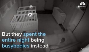 Public Buzz : Des jumeaux se transforment en déménageurs quand leurs parents dorment