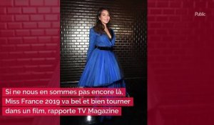Miss France et Sylvie Tellier vont tourner dans un film