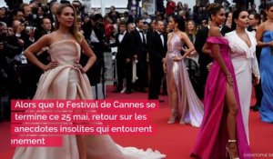 Cannes: Les anecdotes les plus croustillantes du Festival de cinéma
