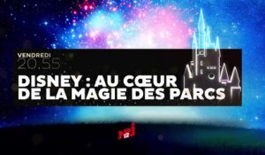 Disney : au coeur de la magie des parcs