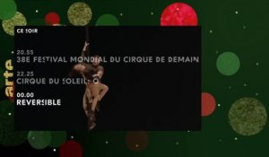 38e Festival mondial du cirque de demain - arte
