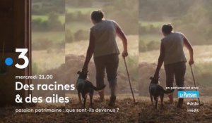 Des Racines Et Des Ailes (France 3)  Passion patrimoine : Que sont-ils devenus ?