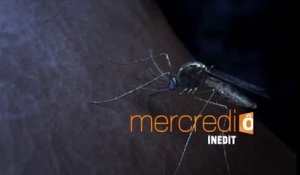 Investigatiôns - malaria business - 29 11 17