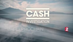 Cash investigation - Multinationales : voyage au paradis -france 2- 07 11 17