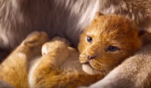 Disney sort la bande-annonce du Roi Lion