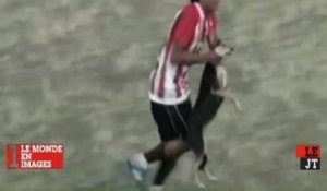 Zapping Sport du 22/06 : Scandale, un footballeur argentin maltraite un chien sur un terrain