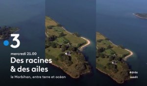 Des racines et des ailes  - Le Morbihan, entre terre et océan - france 3 - 26 09 18