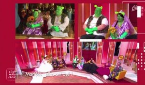 Le zapping du 14/09 : C’est mon choix (Chérie 25 ) -  Ils se marient déguisés en Shrek