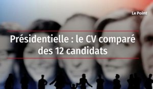 Présidentielle : le CV comparé des 12 candidats