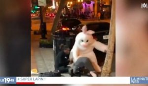 Zapping du 24/04 : Un lapin de Pâques se bagarre en pleine rue