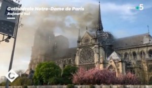 Zapping du 16/04 : Les images impressionnantes de l’incendie de Notre-Dame-de-Paris
