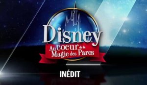 Disney, au coeur de la magie des parcs