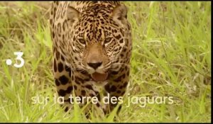 Muriel Robin et Chanee sur la terre des jaguars - france 3 - 26 02 18
