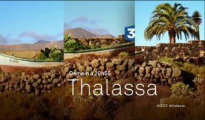 Thalassa- On ira tous aux Canaries ! - 29 01 16