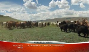 Le Dernier voyage de Dashdeleg - Ushuaia TV