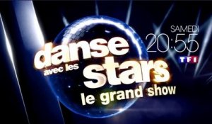 Danse avec les stars  le grand show  - TF1- 04 02 2017