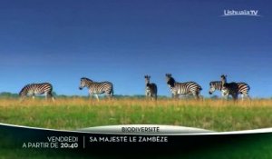 Sa Majesté le Zambèze - Ushuaia TV