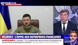 Vadym Omelchenko, ambassadeur d'Ukraine en France: "Le monde est face à un choix: soit l'argent, soit les principes"