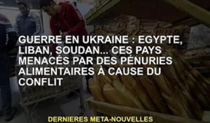 Guerre en Ukraine : Egypte, Liban, Soudan... Ces pays font face à des pénuries alimentaires dues au