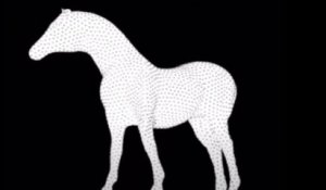 Illusion d'optique qui rend fou : dans quel sens tourne le cheval...