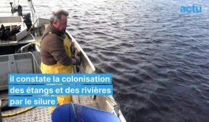 Didier pêche le silure qui colonise les rivières et les étangs