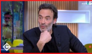 Anthony Delon recadre sèchement Anne Elisabeth Lemoine dans C à Vous