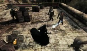Dark Souls II : Dual Swordsman