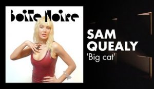 Sam Quealy (Big Cat) | Boite Noire
