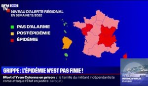 En France, l'épidémie de grippe n'a toujours pas atteint son pic