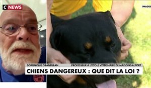 Dominique Grandjean : «N'importe quel chien peut se révéler dangereux à partir du moment où il n'y a pas de processus éducatif normal»