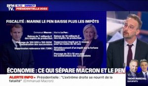 Présidentielle: les programmes d'Emmanuel Macron et de Marine Le Pen opposés sur le plan économique