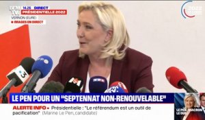Marine Le Pen sur l'article 49-3: "Je ne renonce à utiliser aucun article de la constitution"