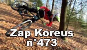 Zap Koreus n°473